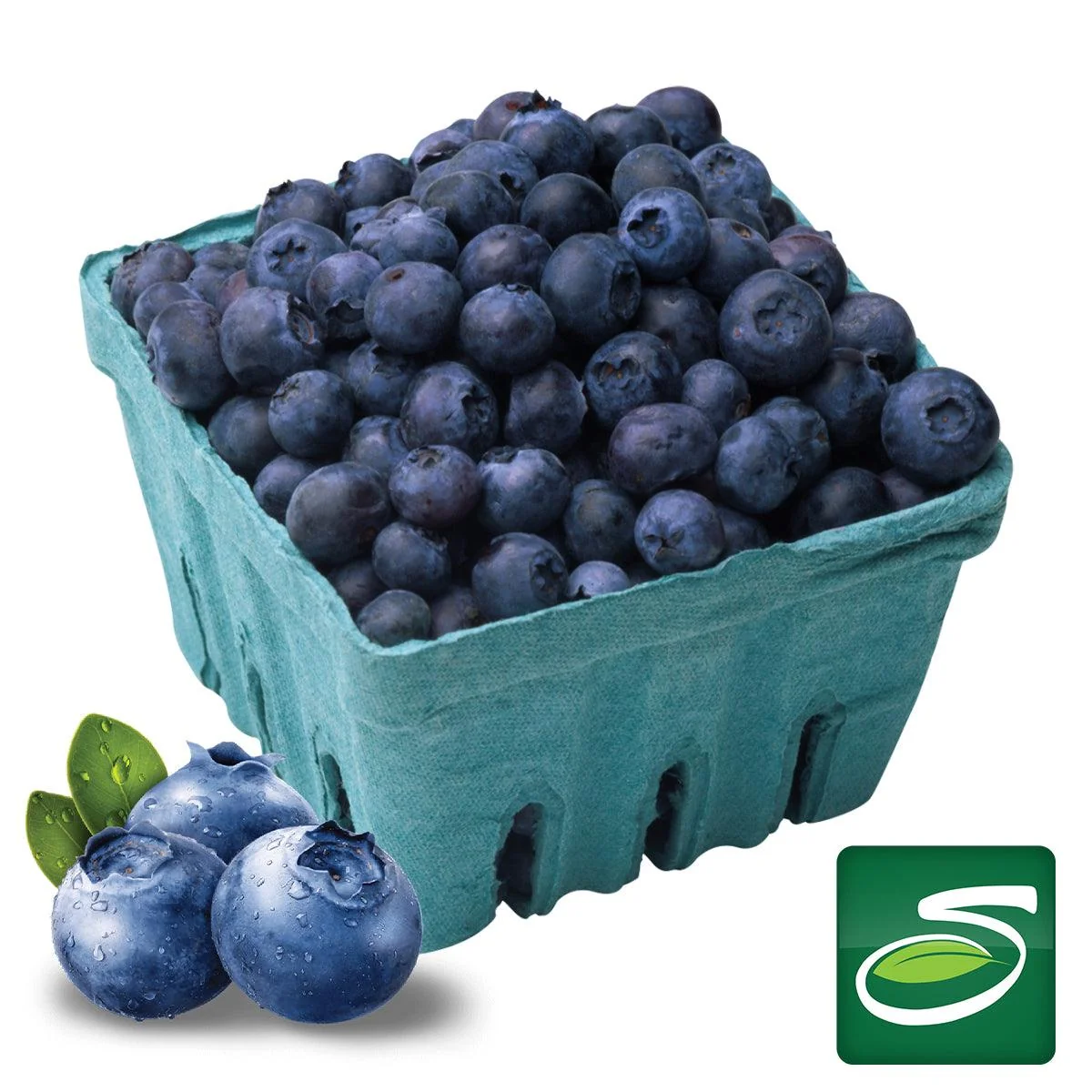 Blueberry Pack