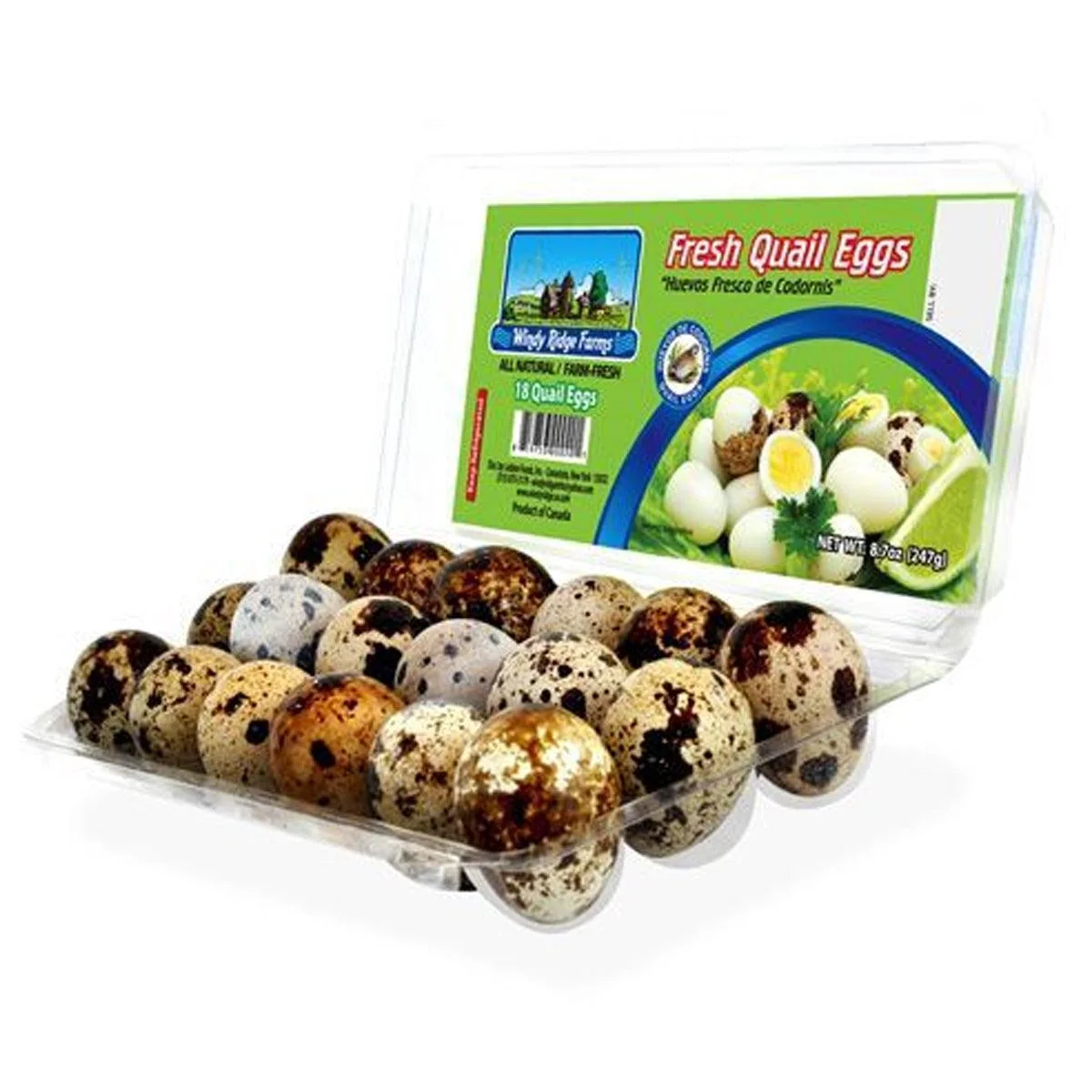 Da Roca Quail Eggs