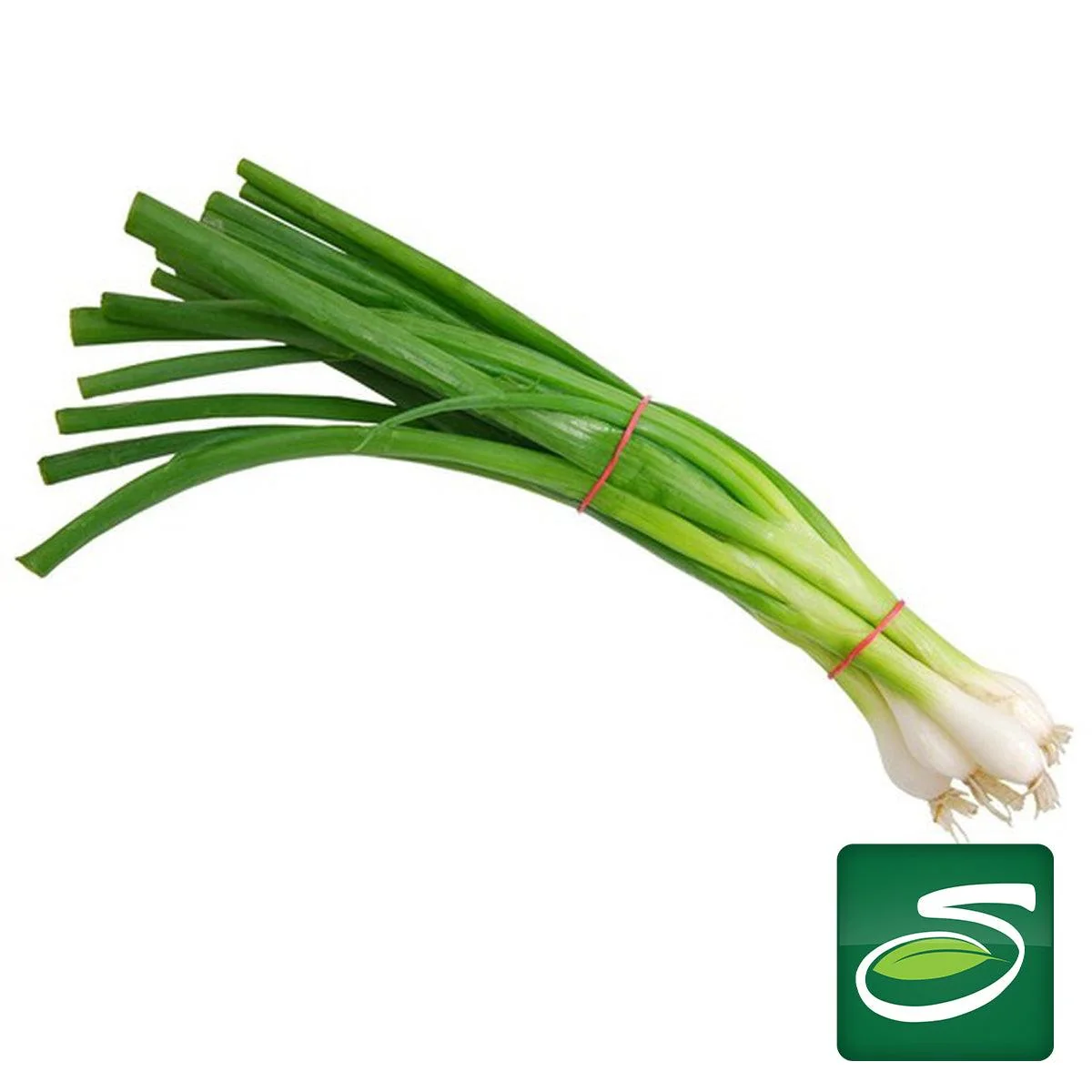 Scallions Bunch